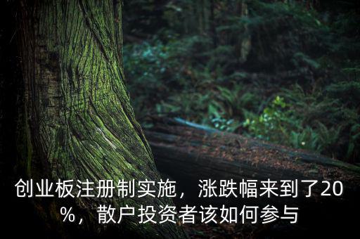 創(chuàng)業(yè)板注冊制實(shí)施，漲跌幅來到了20%，散戶投資者該如何參與