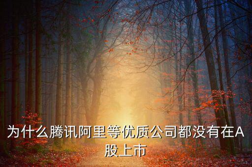 為什么騰訊阿里等優(yōu)質公司都沒有在A股上市