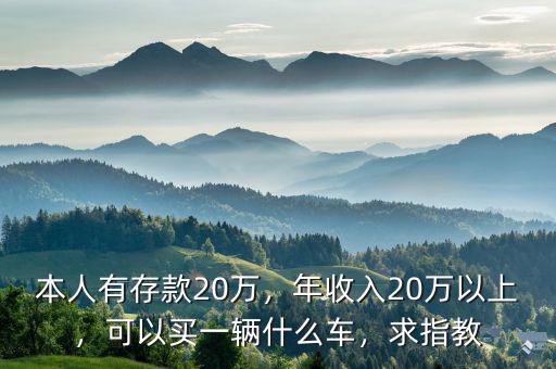 本人有存款20萬，年收入20萬以上，可以買一輛什么車，求指教