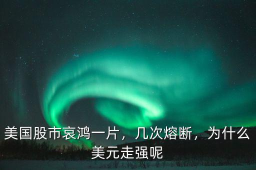 美國股市哀鴻一片，幾次熔斷，為什么美元走強呢