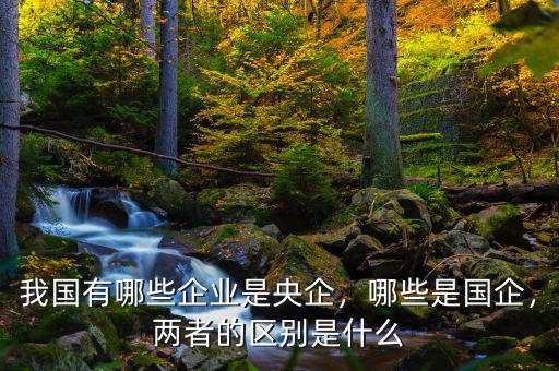 我國(guó)有哪些企業(yè)是央企，哪些是國(guó)企，兩者的區(qū)別是什么