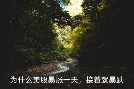 為什么美股暴漲一天，接著就暴跌