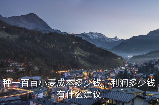 種一百畝小麥成本多少錢，利潤多少錢有什么建議