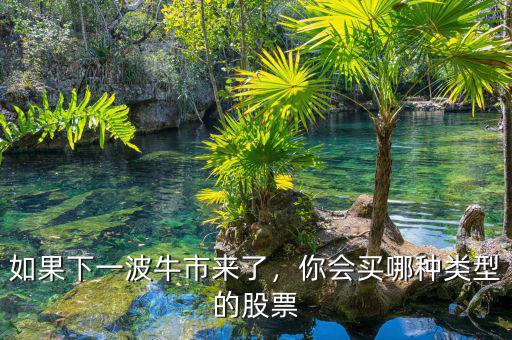 如果下一波牛市來了，你會買哪種類型的股票