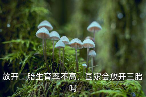 放開二胎生育率不高，國家會(huì)放開三胎嗎