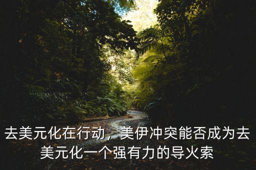 去美元化在行動(dòng)，美伊沖突能否成為去美元化一個(gè)強(qiáng)有力的導(dǎo)火索