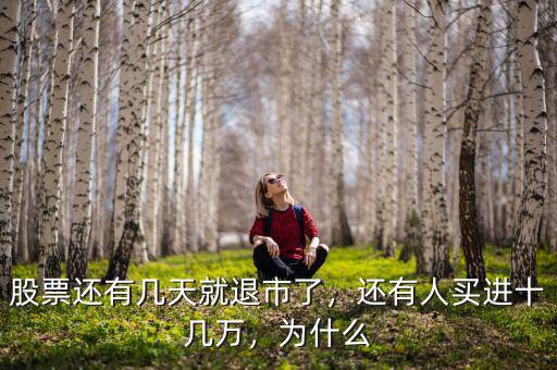 股票還有幾天就退市了，還有人買進十幾萬，為什么