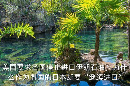 美國要求各國停止進口伊朗石油，為什么作為盟國的日本卻要“繼續(xù)進口”