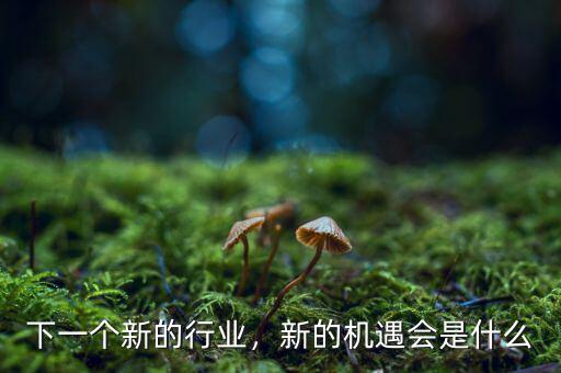 下一個(gè)新的行業(yè)，新的機(jī)遇會(huì)是什么