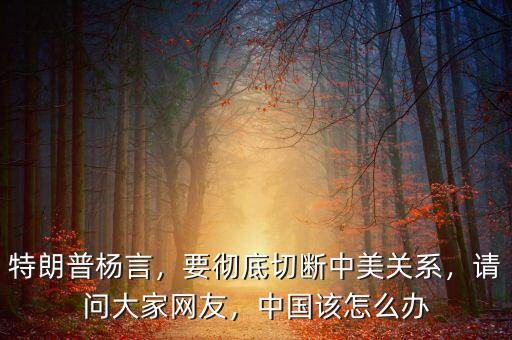 特朗普楊言，要徹底切斷中美關(guān)系，請(qǐng)問大家網(wǎng)友，中國該怎么辦