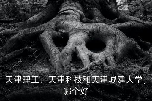 天津理工、天津科技和天津城建大學(xué)，哪個(gè)好