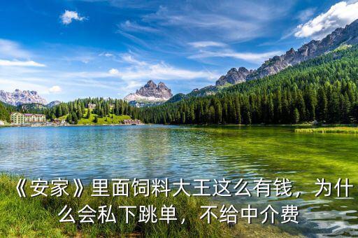《安家》里面飼料大王這么有錢，為什么會私下跳單，不給中介費