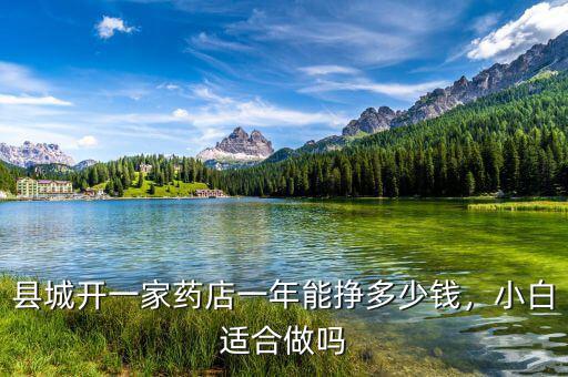 縣城開一家藥店一年能掙多少錢，小白適合做嗎