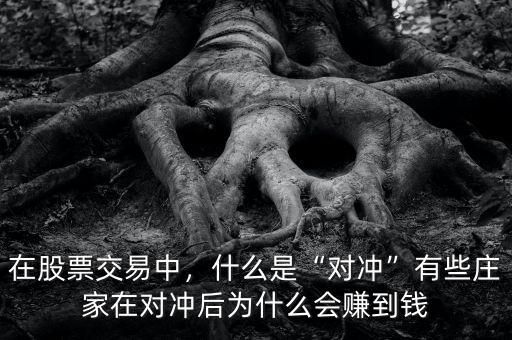 在股票交易中，什么是“對(duì)沖”有些莊家在對(duì)沖后為什么會(huì)賺到錢