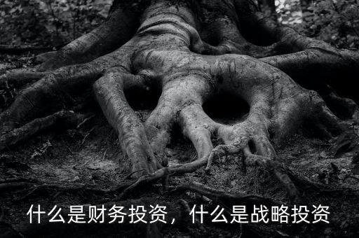 什么是財務(wù)投資，什么是戰(zhàn)略投資