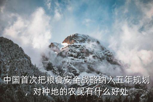 中國首次把糧食安全戰(zhàn)略納入五年規(guī)劃，對(duì)種地的農(nóng)民有什么好處