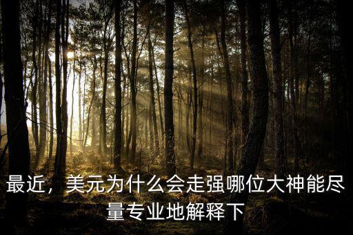 最近，美元為什么會走強哪位大神能盡量專業(yè)地解釋下