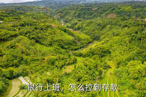 銀行上班，怎么拉到存款