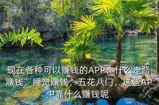 現(xiàn)在各種可以賺錢(qián)的APP，什么走路賺錢(qián)，睡覺(jué)賺錢(qián)，五花八門(mén)，這些APP靠什么賺錢(qián)呢