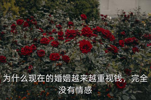 為什么現(xiàn)在的婚姻越來越重視錢，完全沒有情感