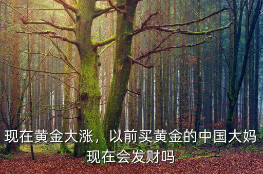 現(xiàn)在黃金大漲，以前買黃金的中國(guó)大媽現(xiàn)在會(huì)發(fā)財(cái)嗎