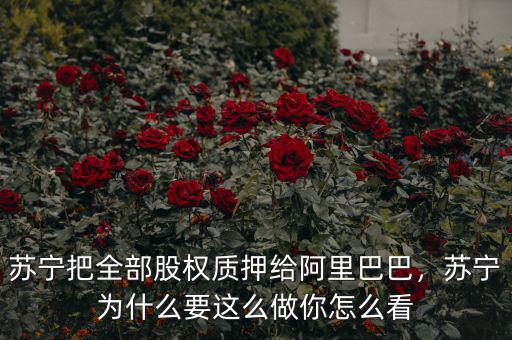 蘇寧把全部股權(quán)質(zhì)押給阿里巴巴，蘇寧為什么要這么做你怎么看