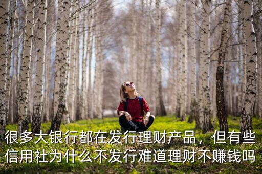 很多大銀行都在發(fā)行理財產品，但有些信用社為什么不發(fā)行難道理財不賺錢嗎