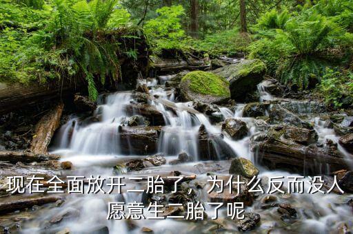 現(xiàn)在全面放開二胎了，為什么反而沒人愿意生二胎了呢