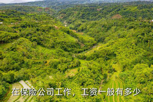 保險公司工資多少,工資一般有多少