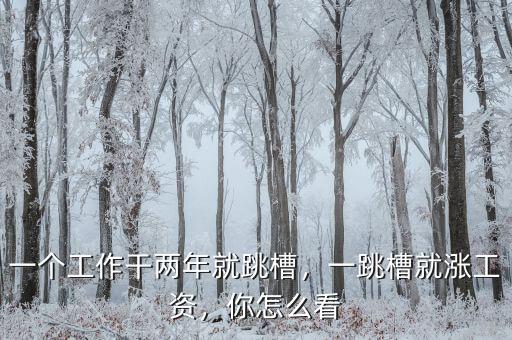 一個工作干兩年就跳槽，一跳槽就漲工資，你怎么看
