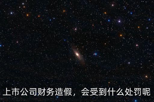 上市公司財(cái)務(wù)造假，會(huì)受到什么處罰呢