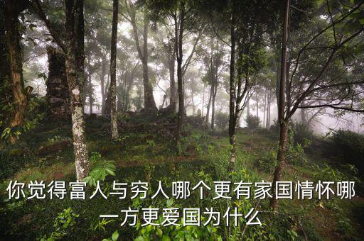 為什么富人不愛國(guó),如何反駁越有錢的人越不愛國(guó)
