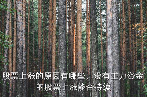 股票上漲的原因有哪些，沒有主力資金的股票上漲能否持續(xù)