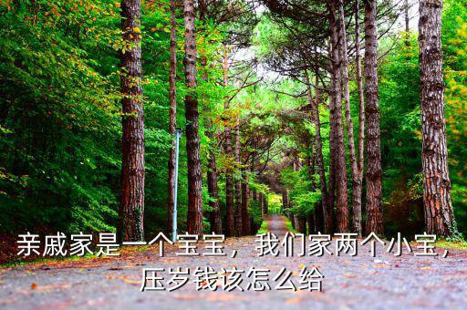 親戚家是一個(gè)寶寶，我們家兩個(gè)小寶，壓歲錢該怎么給