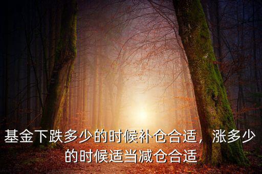 基金下跌多少的時(shí)候補(bǔ)倉(cāng)合適，漲多少的時(shí)候適當(dāng)減倉(cāng)合適