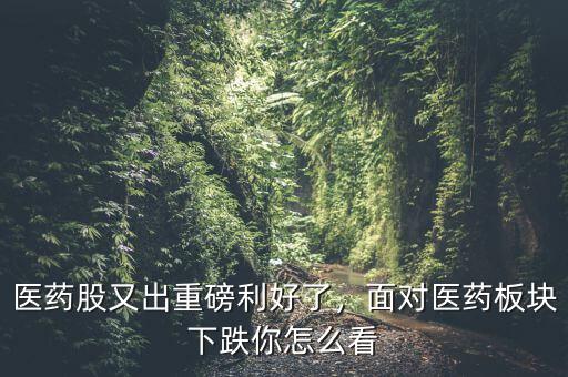 醫(yī)藥股又出重磅利好了，面對(duì)醫(yī)藥板塊下跌你怎么看