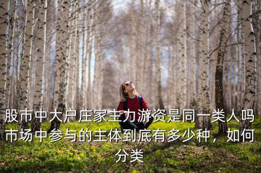 股市中大戶莊家主力游資是同一類人嗎市場中參與的主體到底有多少種，如何分類