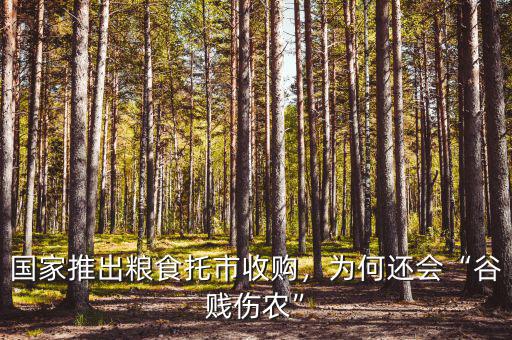 國家推出糧食托市收購，為何還會“谷賤傷農”