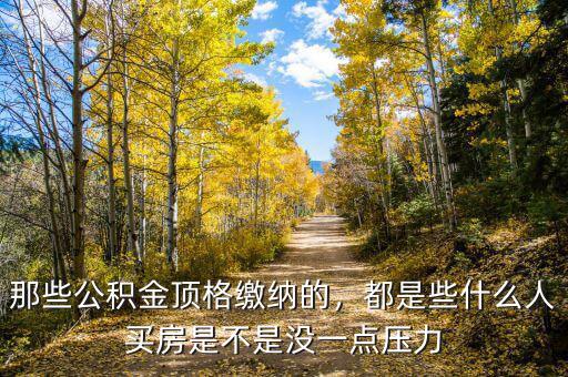 那些公積金頂格繳納的，都是些什么人買房是不是沒(méi)一點(diǎn)壓力