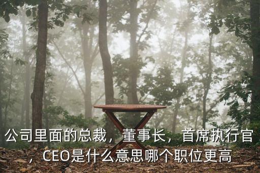 公司里面的總裁，董事長，首席執(zhí)行官，CEO是什么意思哪個職位更高