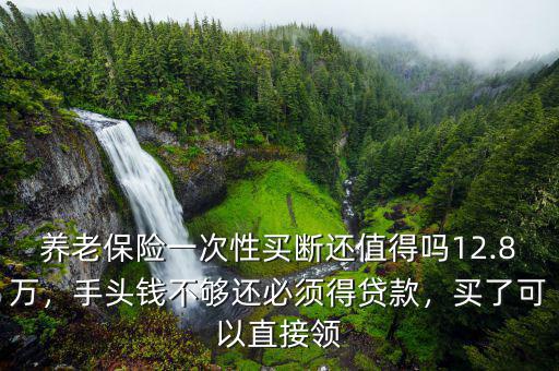 養(yǎng)老保險(xiǎn)一次性買斷還值得嗎12.8萬，手頭錢不夠還必須得貸款，買了可以直接領(lǐng)