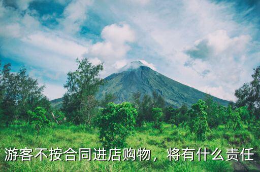 游客不按合同進店購物，將有什么責任