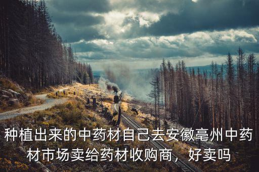 種植出來的中藥材自己去安徽亳州中藥材市場賣給藥材收購商，好賣嗎