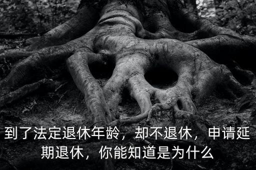 到了法定退休年齡，卻不退休，申請(qǐng)延期退休，你能知道是為什么