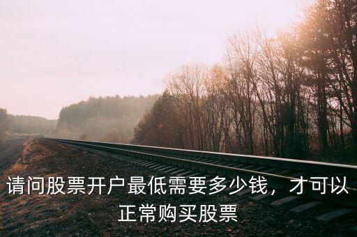 請(qǐng)問(wèn)股票開(kāi)戶最低需要多少錢(qián)，才可以正常購(gòu)買股票