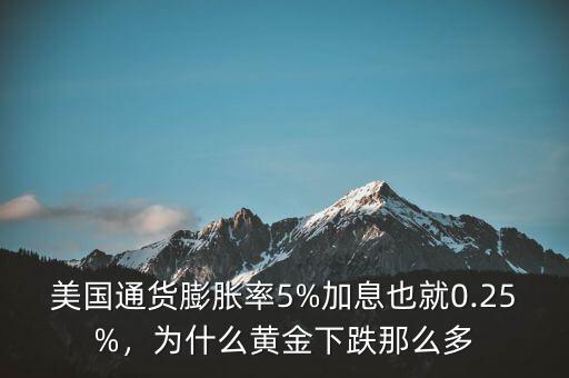 美國通貨膨脹率5%加息也就0.25%，為什么黃金下跌那么多