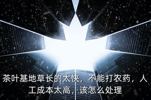 茶葉基地草長的太快，不能打農(nóng)藥，人工成本太高，該怎么處理