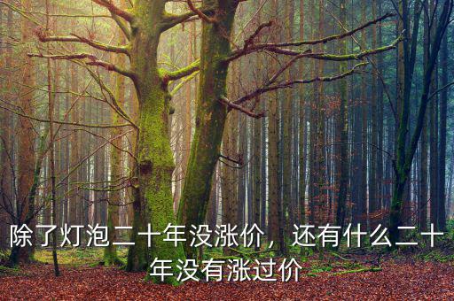 除了燈泡二十年沒漲價(jià)，還有什么二十年沒有漲過價(jià)
