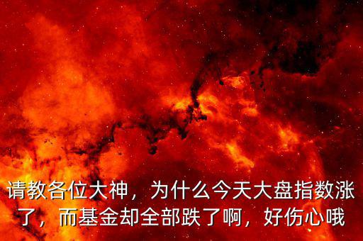 請(qǐng)教各位大神，為什么今天大盤指數(shù)漲了，而基金卻全部跌了啊，好傷心哦