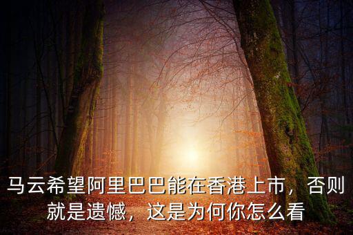 馬云希望阿里巴巴能在香港上市，否則就是遺憾，這是為何你怎么看